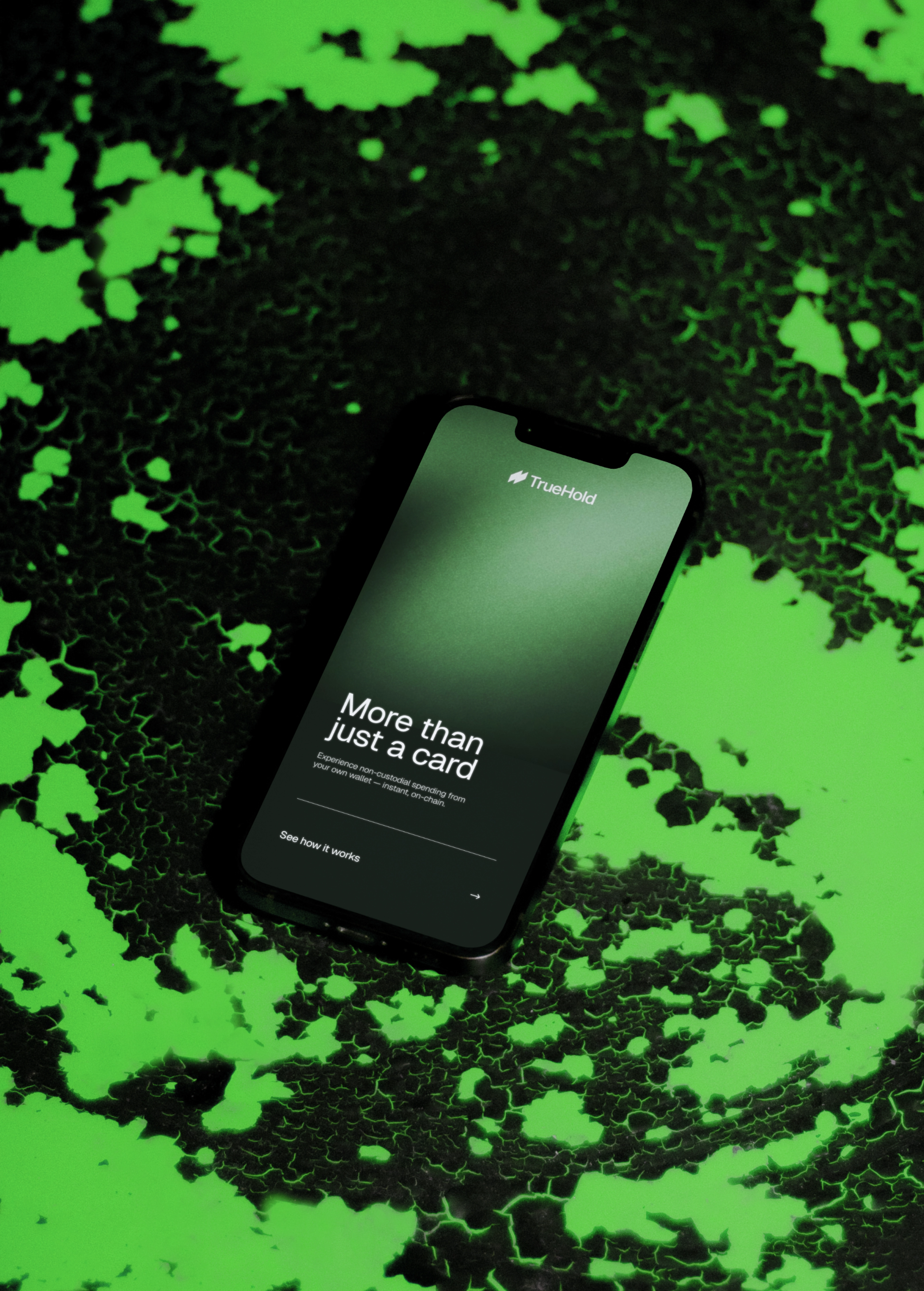 TRUEHOLD - Image 3.1