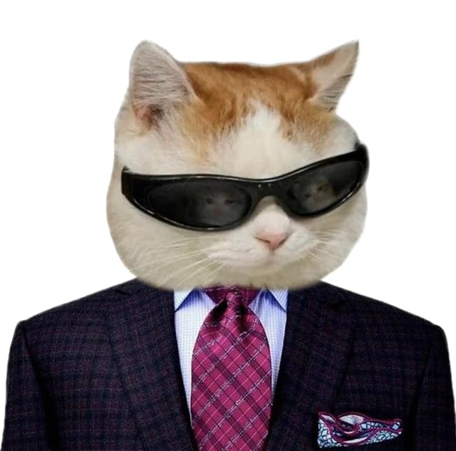 Pragmica team cat mascot