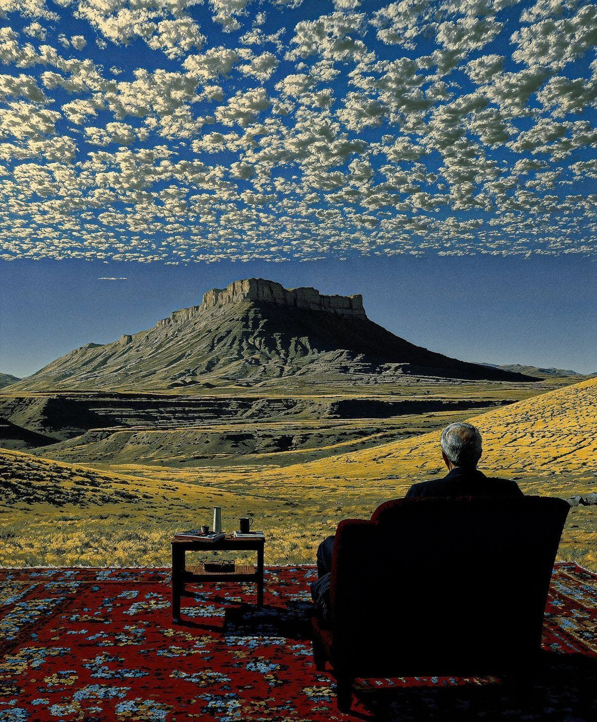 Do We Really Want Conscious Machines