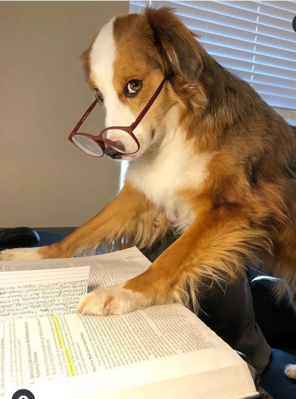 Why being smart suddenly feels fragile